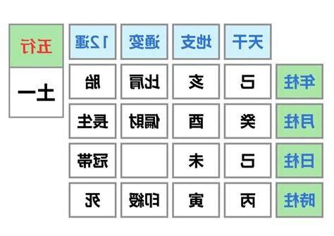 金匱將星時柱 佐的意思